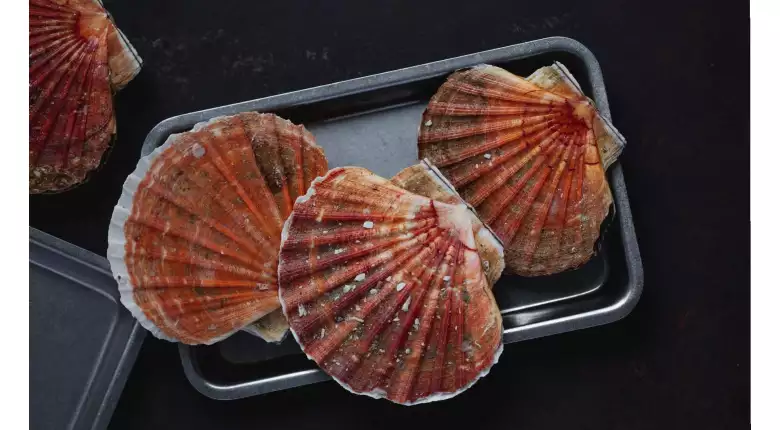 Чем полезно мясо гребешка и как влияет на организм при регулярном употреблении?