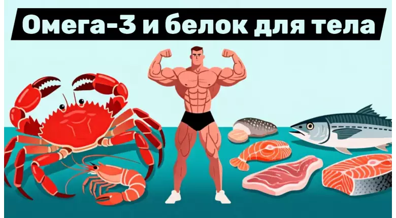 Влияние Омега-3 и белка на организм