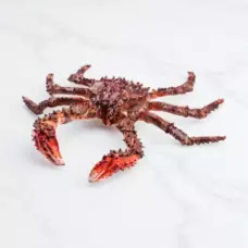 Живой краб колючий, Россия, 1 кг