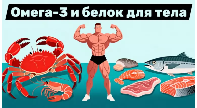 Влияние Омега-3 и белка на организм